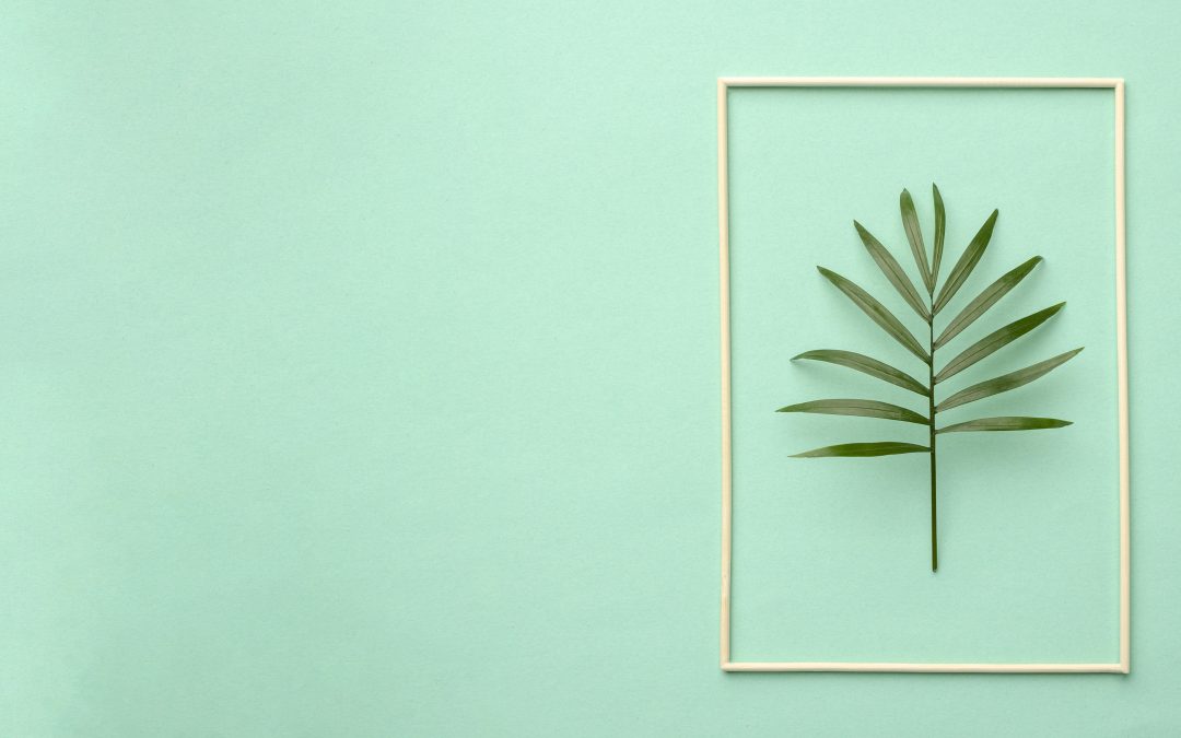 Big Ideas Are Usually Simple Ideas: Why Simplicity Wins