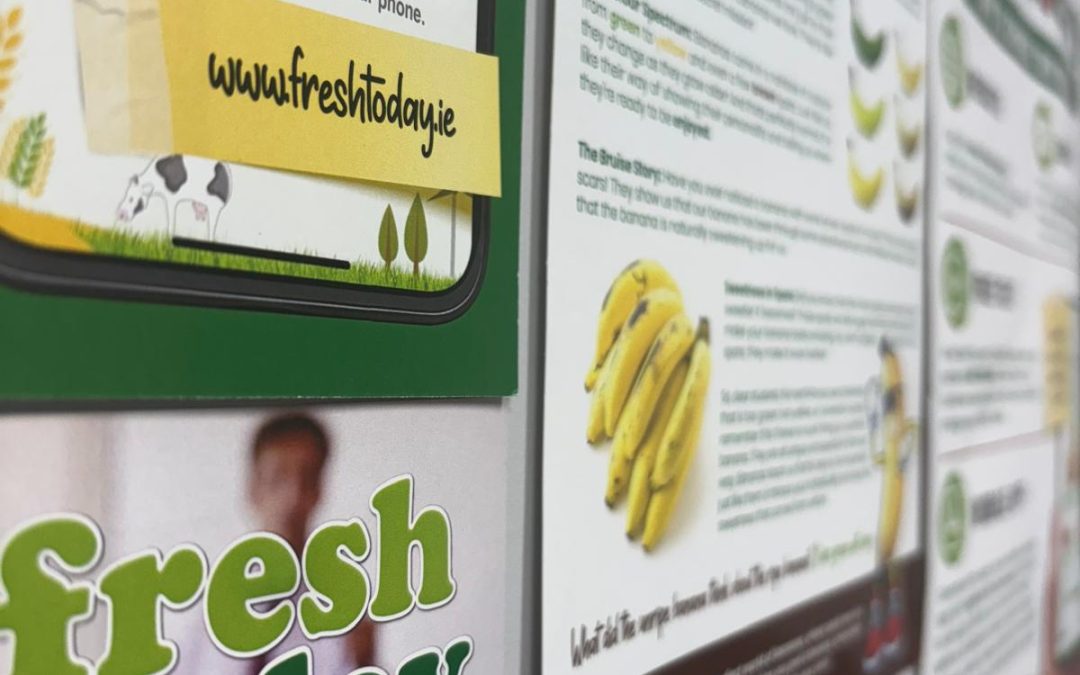 Fresh Today Creative & Brand Management